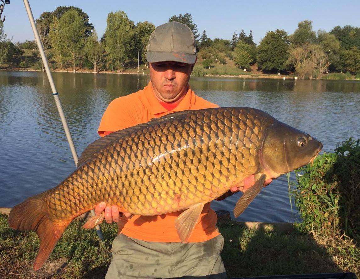 Carpbook - img-20160903-wa0002.jpg